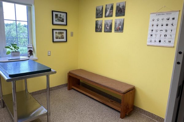 Exam room two