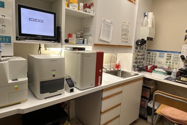 lab photo